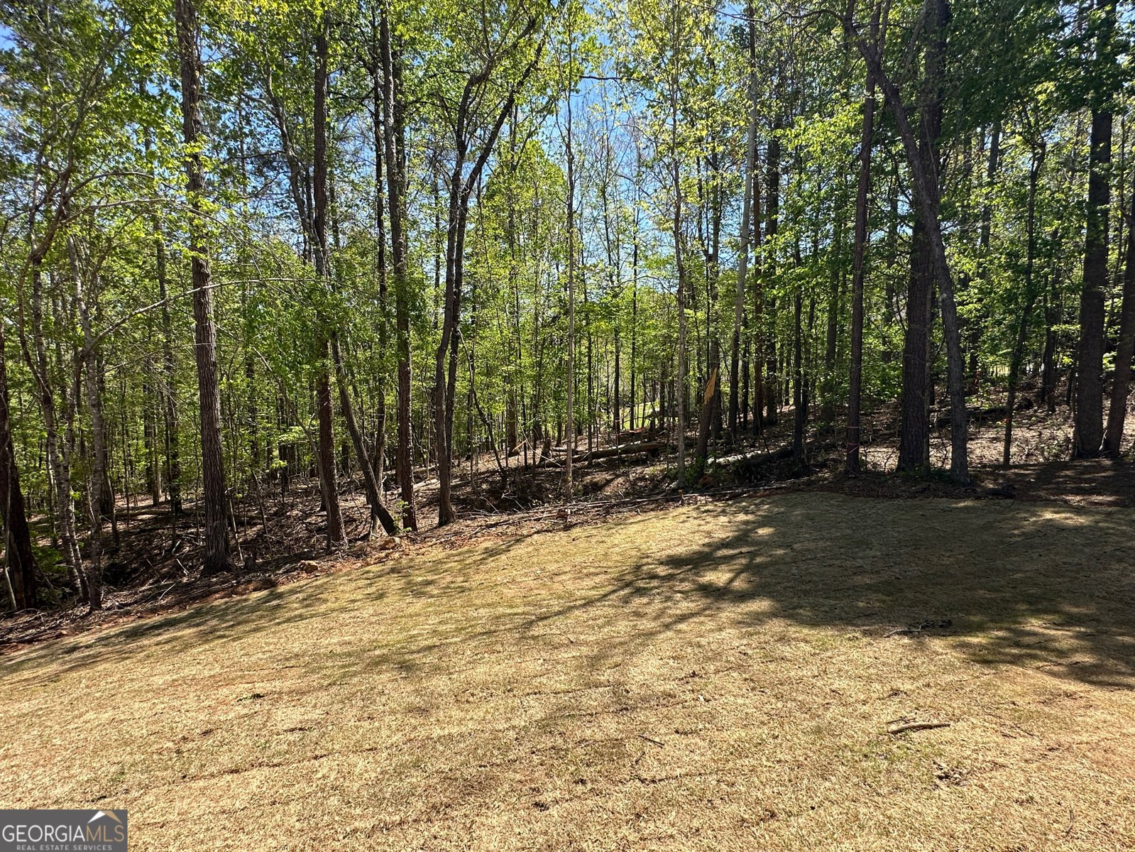 66 Pine Creek Court Dallas - 5