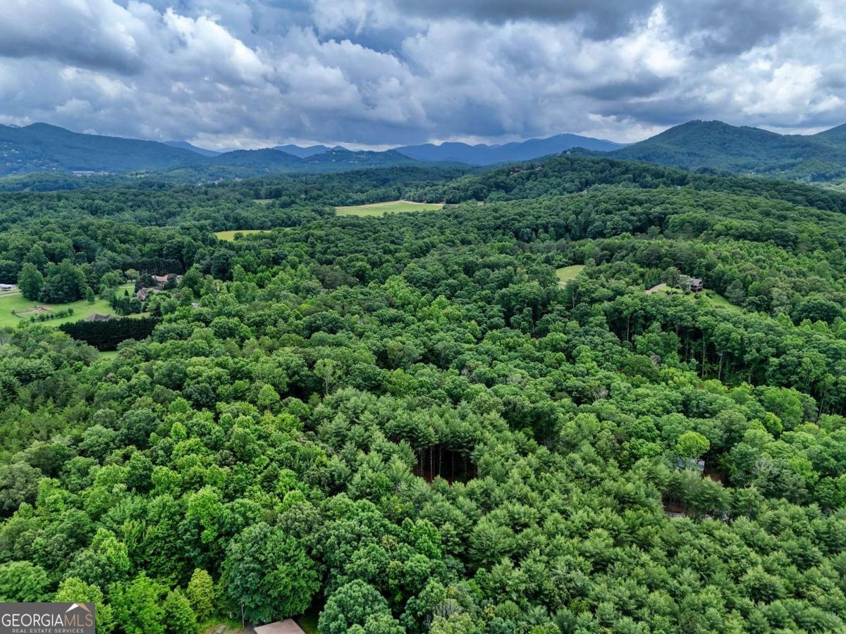 124 Lakeside Estates Drive Hayesville - 35