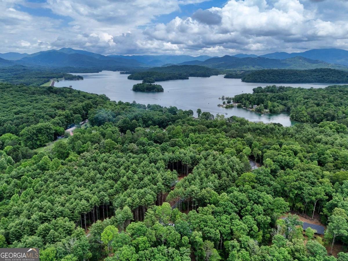 124 Lakeside Estates Drive Hayesville - 37