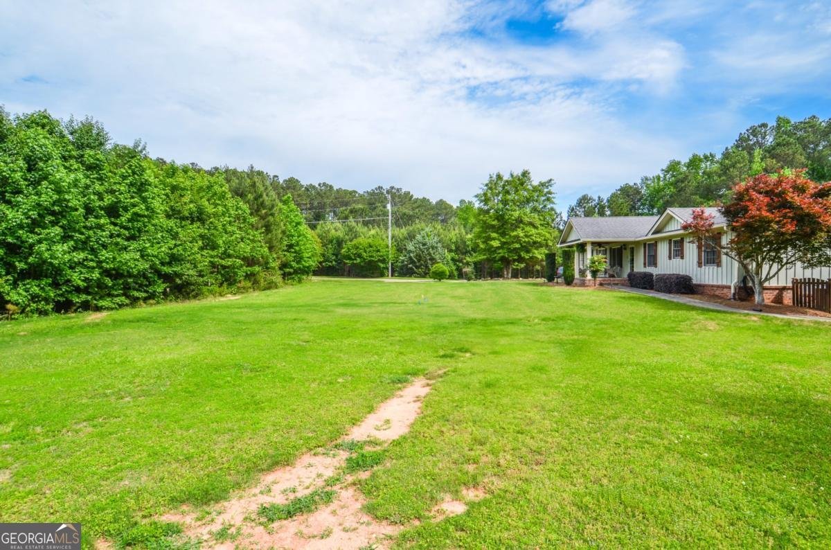 2997 Happy Hollow Drive Conyers - 100
