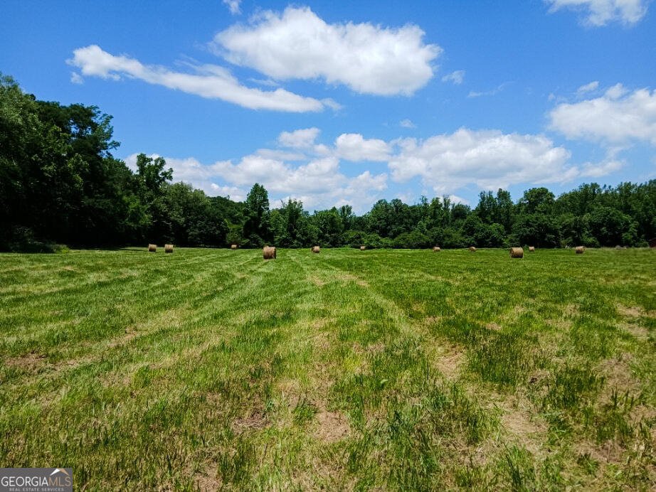 308 Idle Acres Lane Lavonia - 2