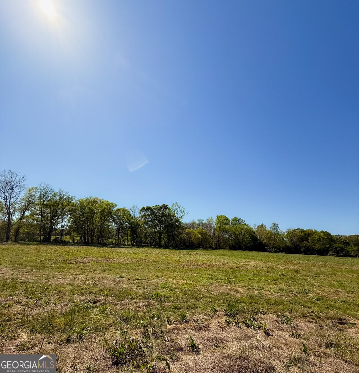 308 Idle Acres Lane Lavonia - 4