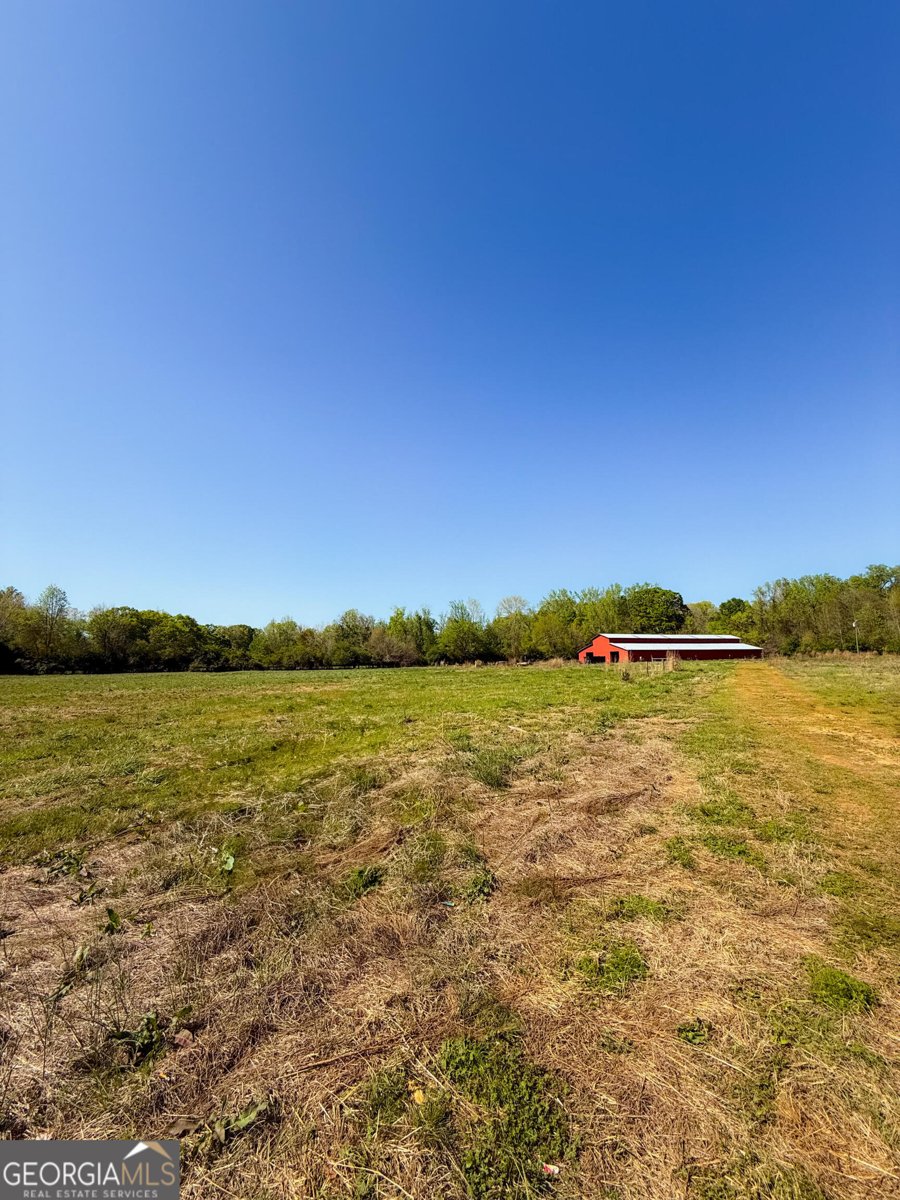308 Idle Acres Lane Lavonia - 5