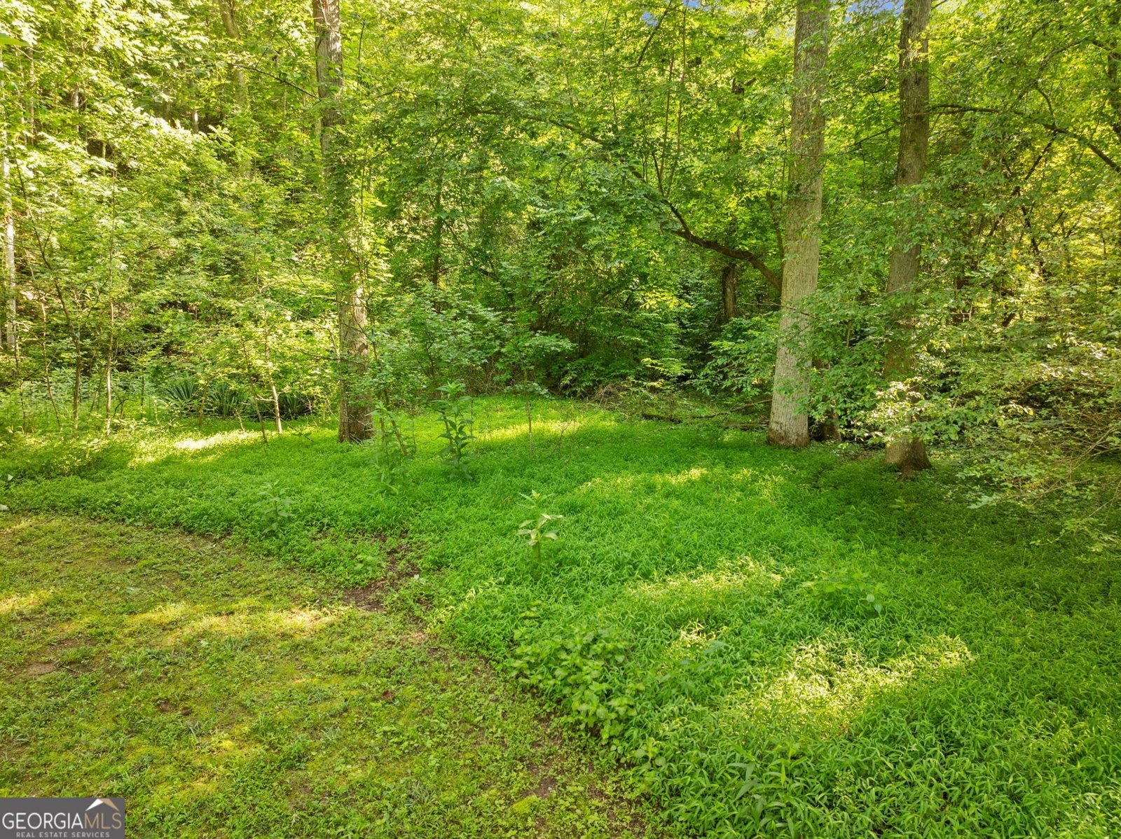 250 Indiana Boulevard Demorest - 31