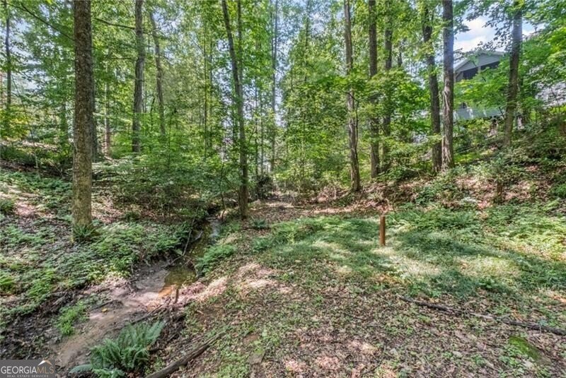 1279 Colony Place Marietta - 47