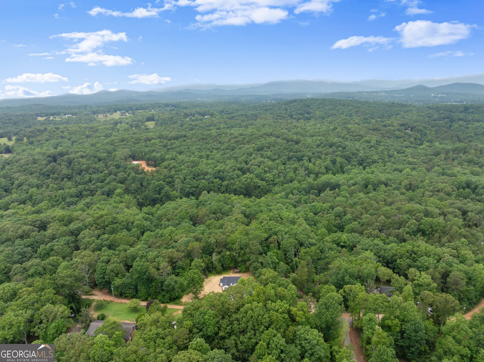 372 Aurum Hill Road Cleveland - 40