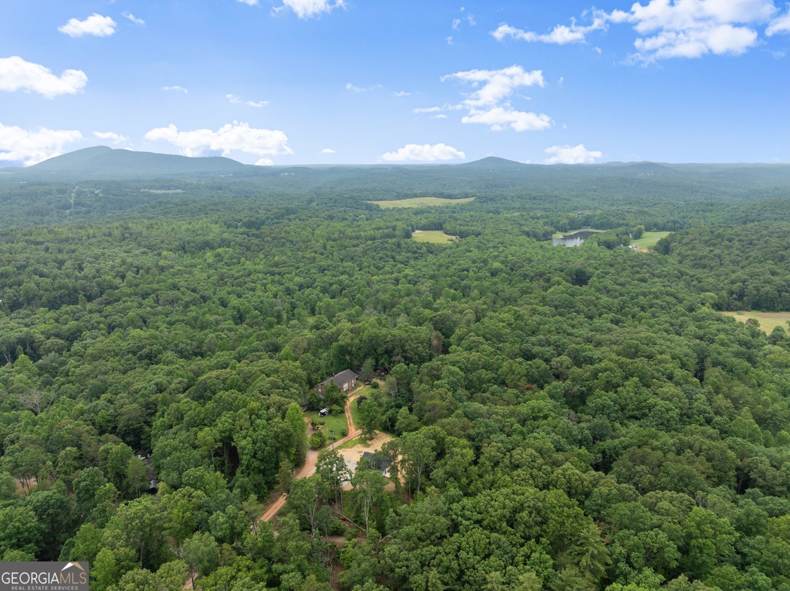 372 Aurum Hill Road Cleveland - 46