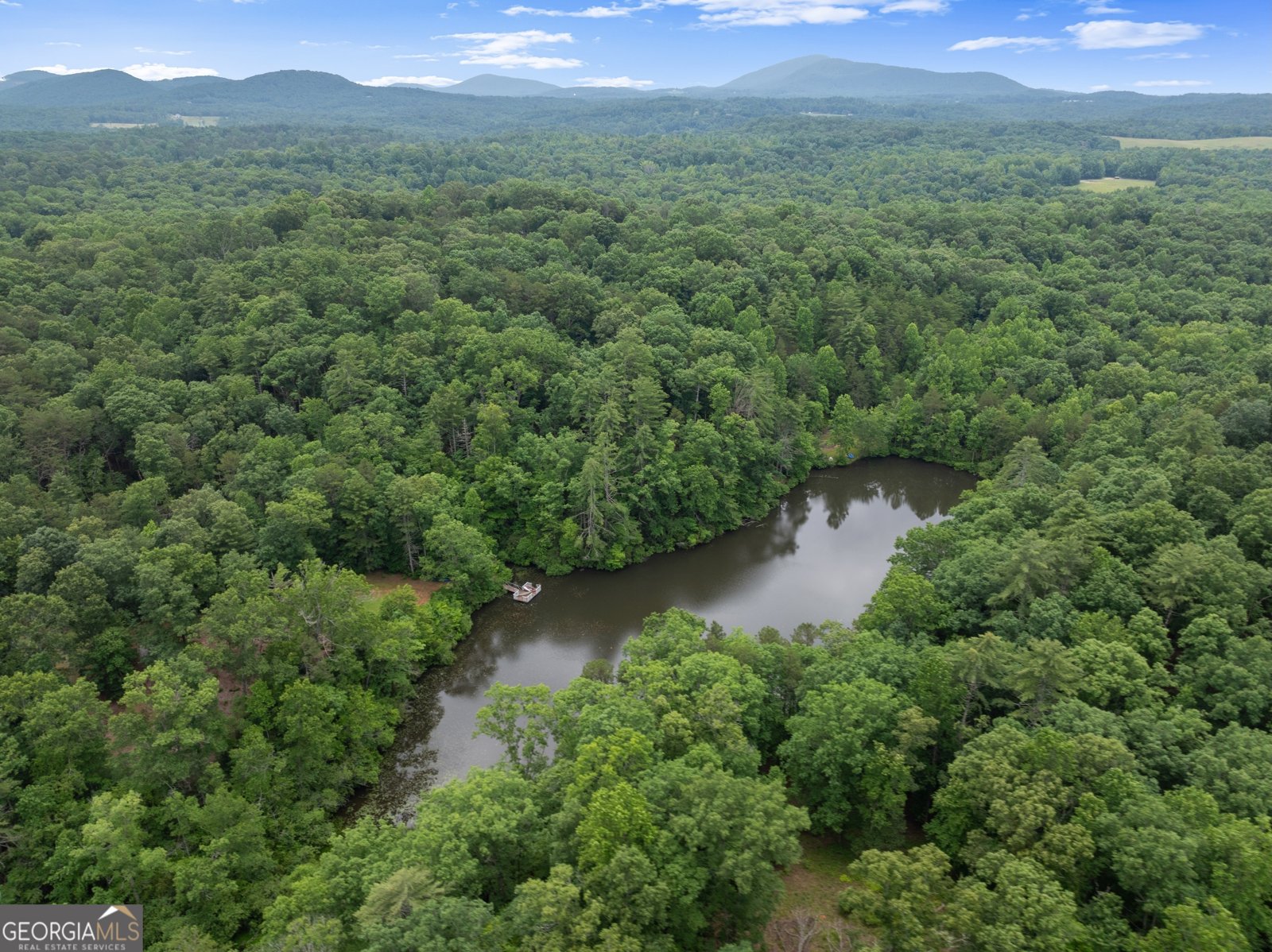 372 Aurum Hill Road Cleveland - 47