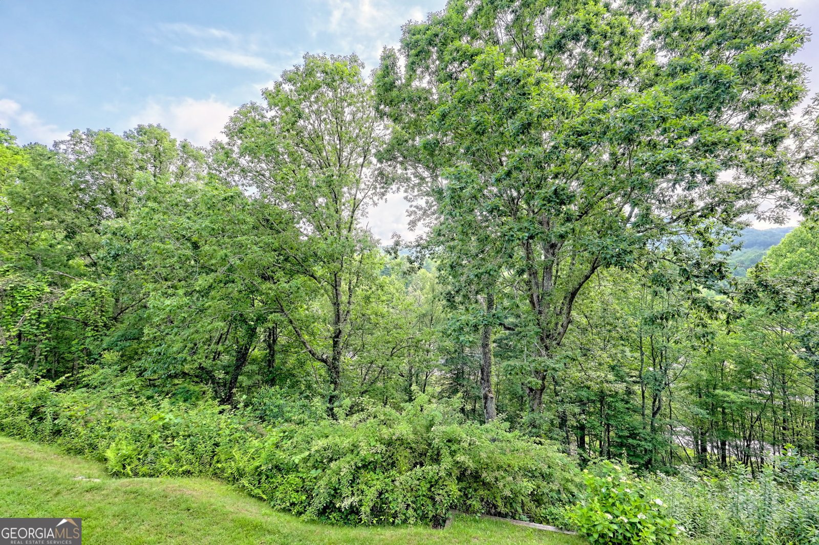33 Berkshire Lane Dillard - 44