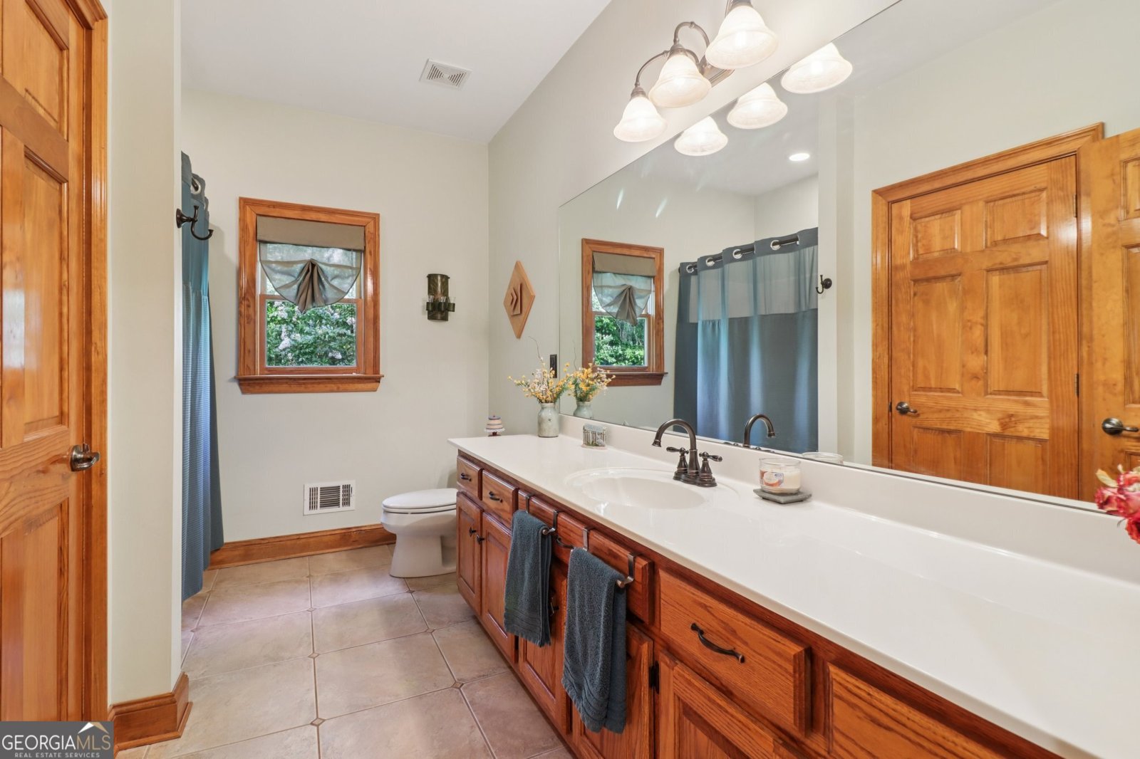 169 Robson Trail Mcdonough - 20