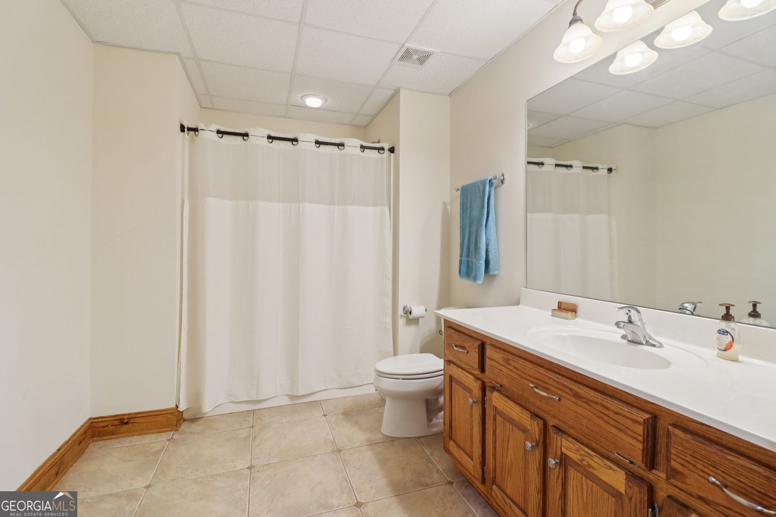 169 Robson Trail Mcdonough - 29