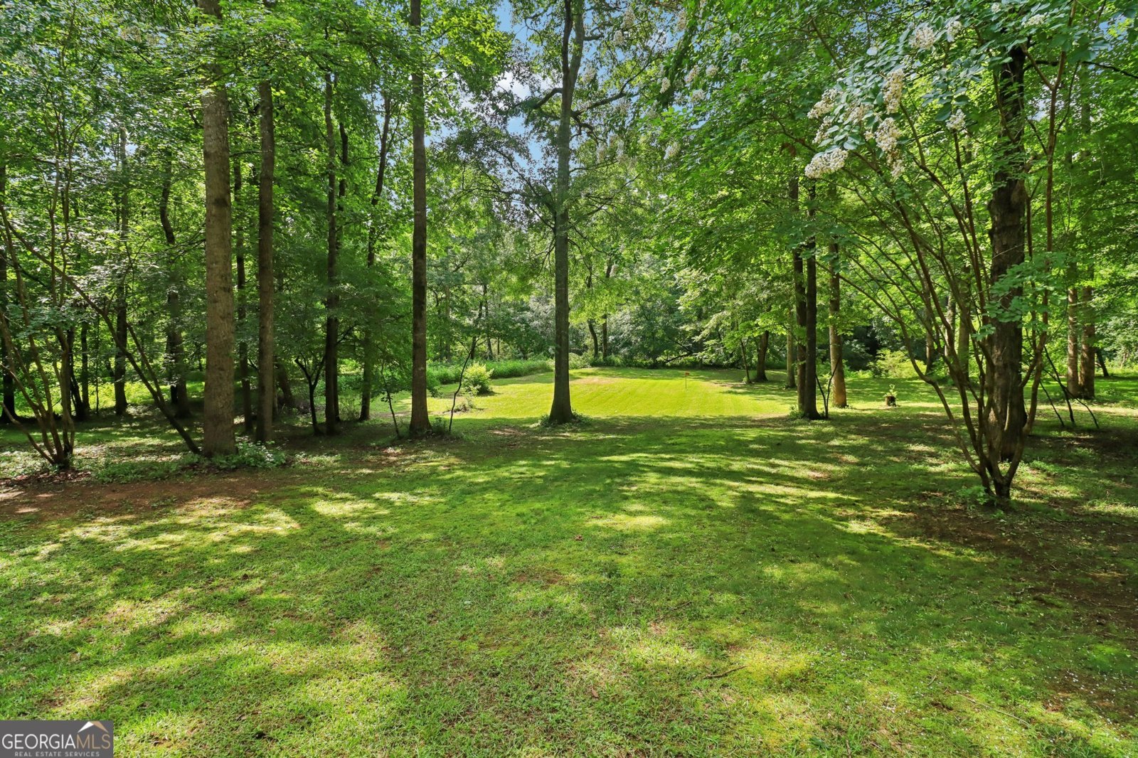 169 Robson Trail Mcdonough - 39