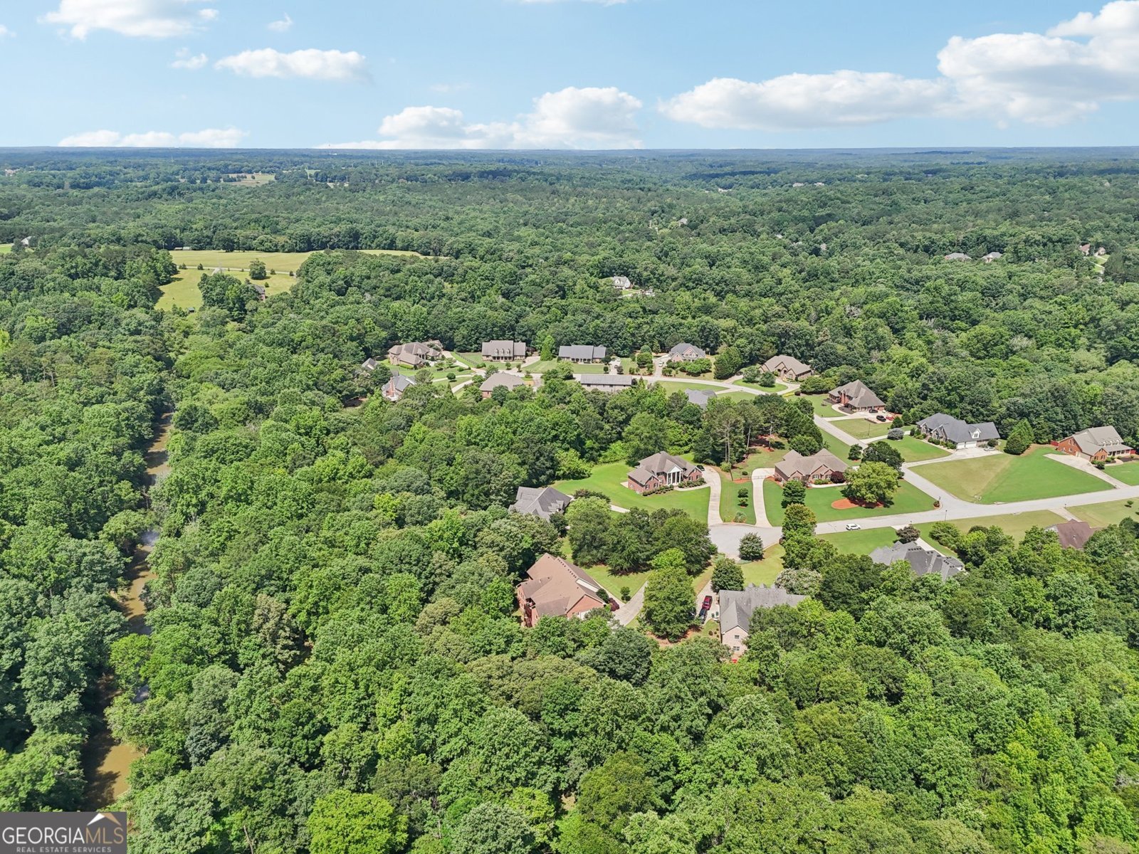 169 Robson Trail Mcdonough - 42