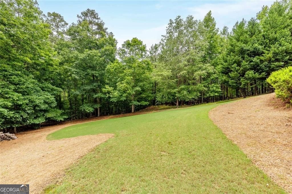 930 Shepards Court Roswell - 63