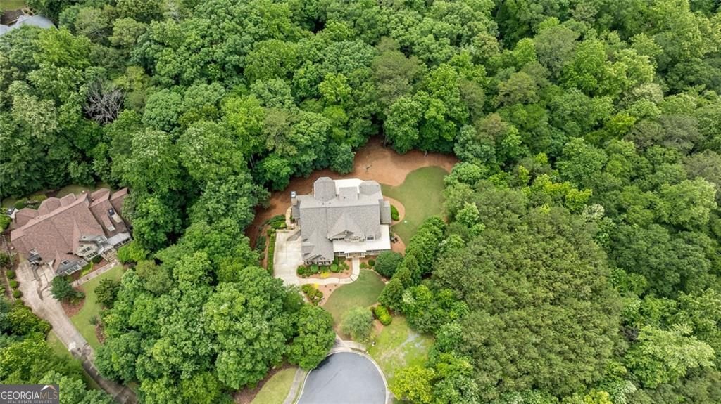 930 Shepards Court Roswell - 68