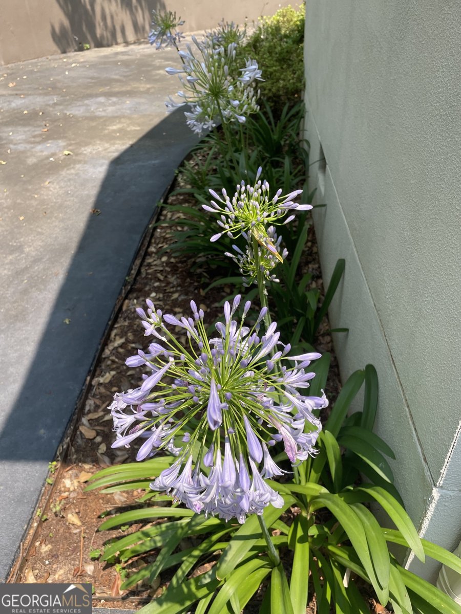 1906 1st Street Lanett - 61