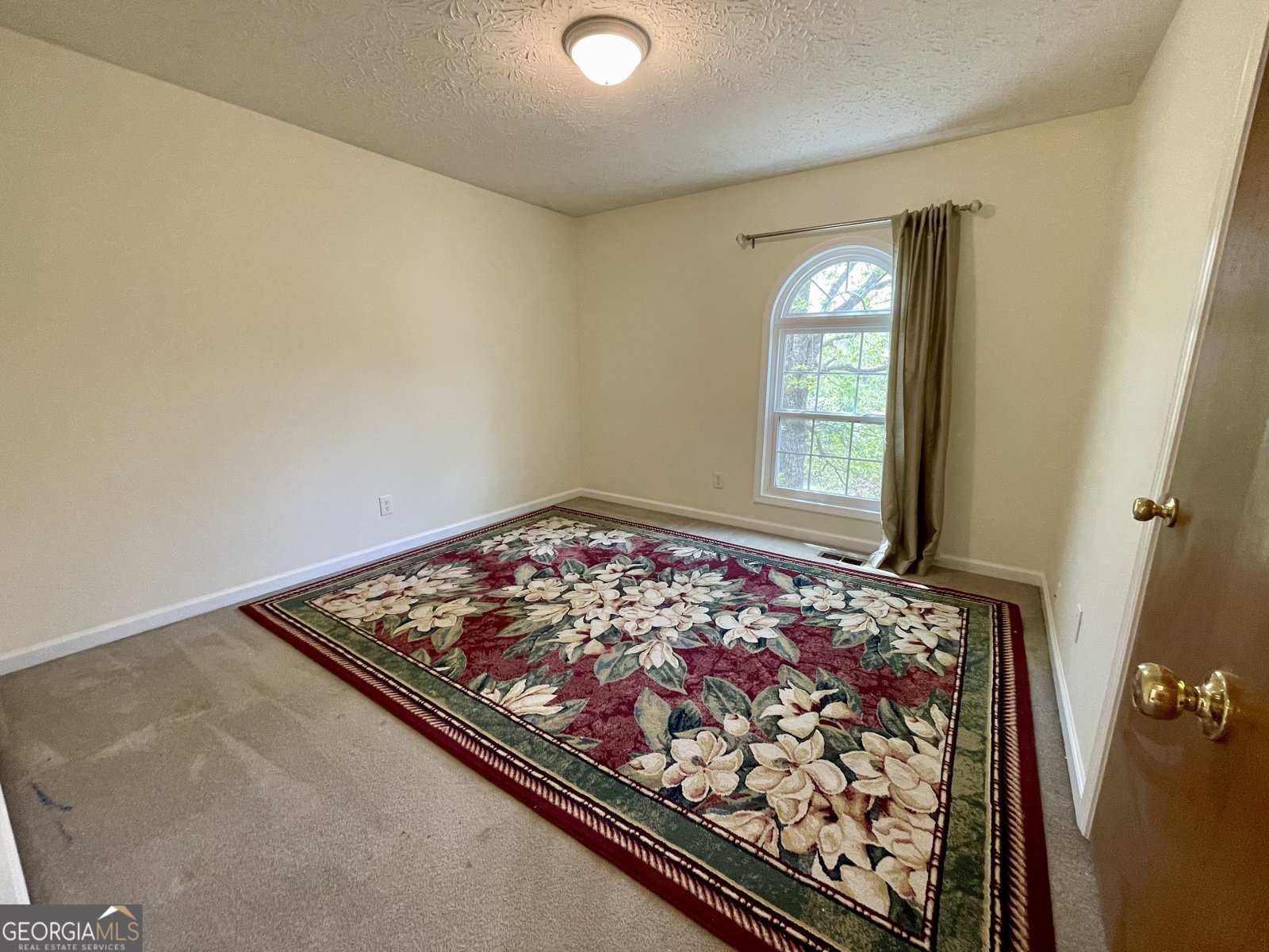 610 Coolsprings Lane Woodstock - 28