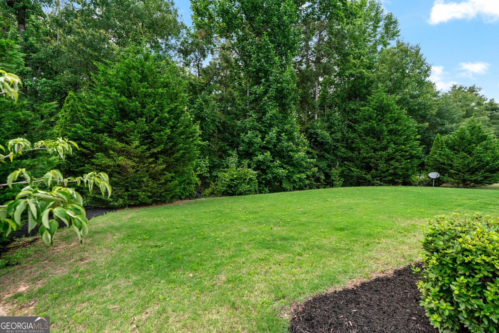 1626 Waterchase Drive Dacula - 40