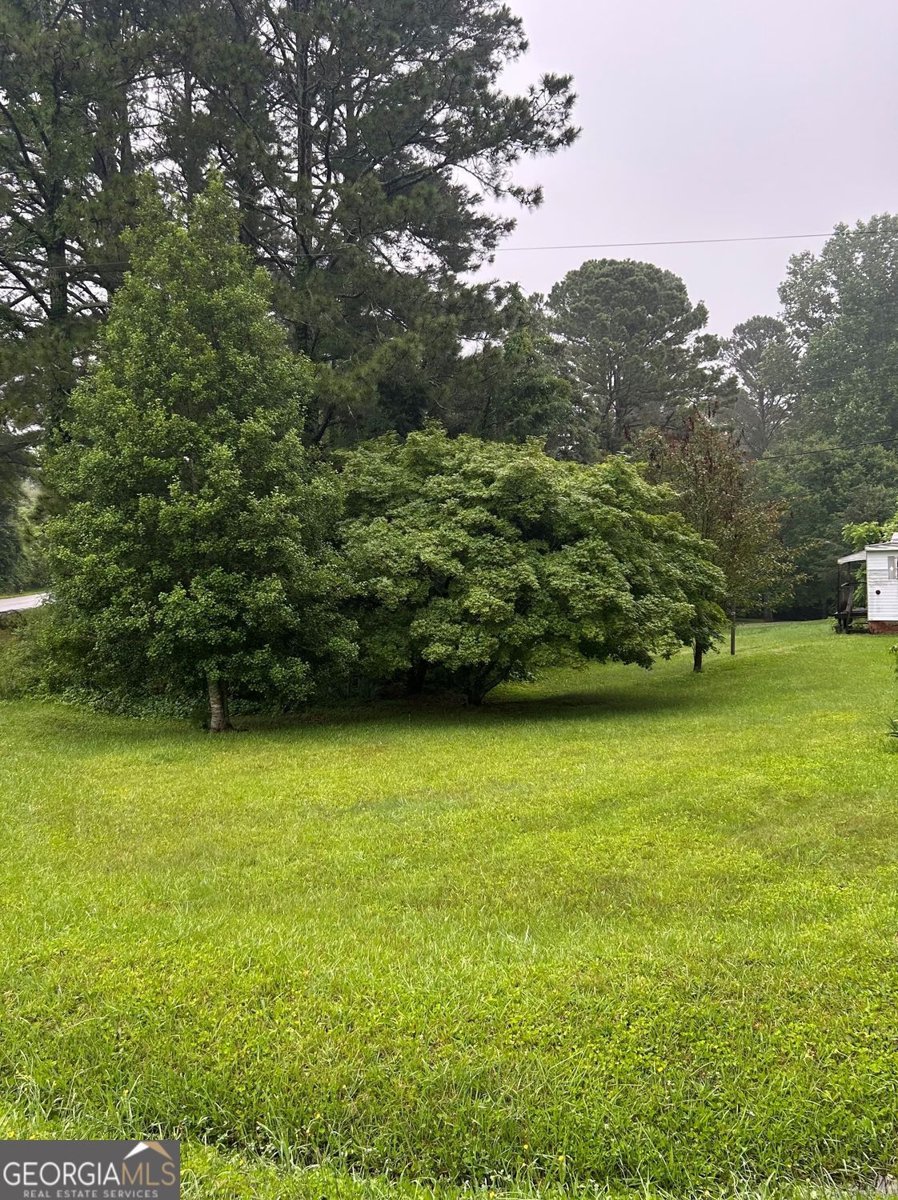 5538 Ransom Free Road Clermont - 2