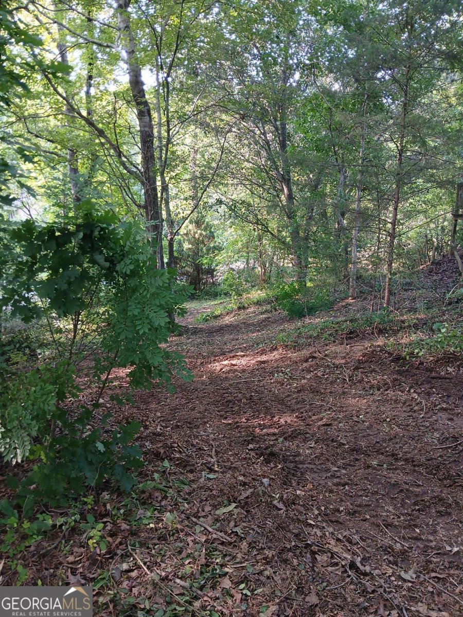 2218 Etowah River Road Dawsonville - 28