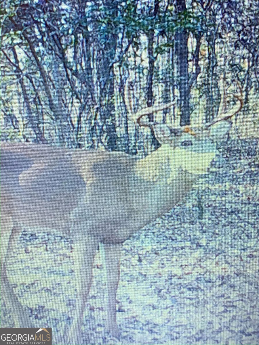 1455 Fred Hall Road Gordon - 45
