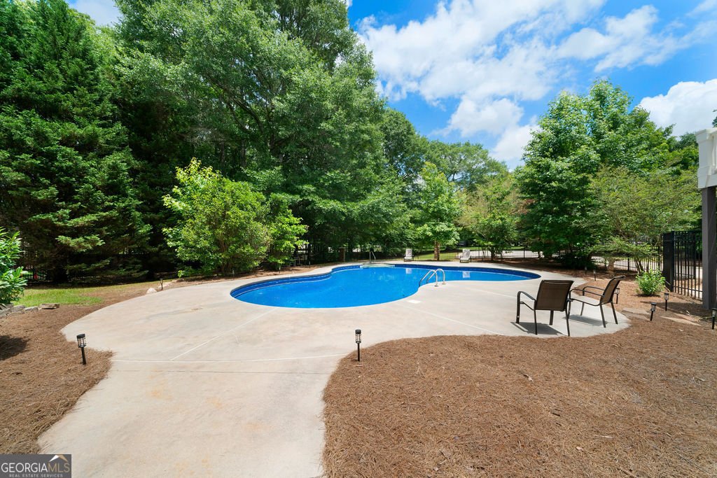 1217 Standing Rock Road Senoia - 47
