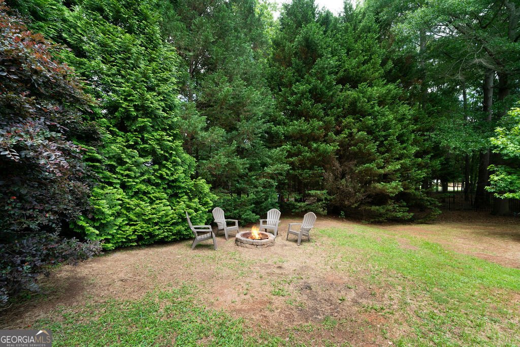 1217 Standing Rock Road Senoia - 48