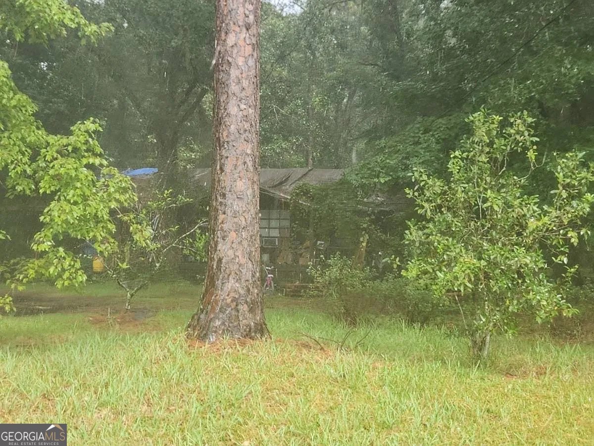8844 Doris Lane Jacksonville - 2