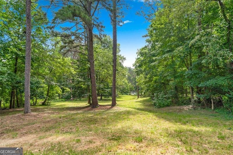 3620 BEAVER COVE Road Cumming - 41