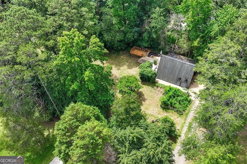 3620 BEAVER COVE Road Cumming - 49