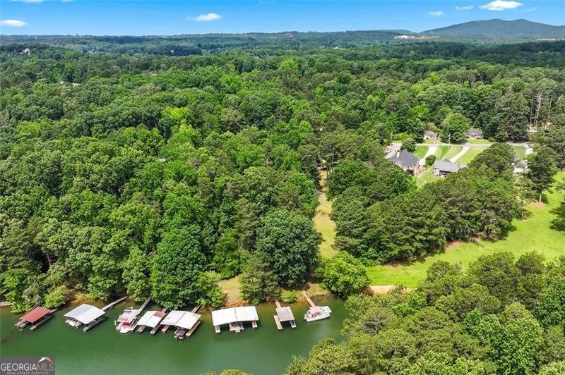 3620 BEAVER COVE Road Cumming - 51