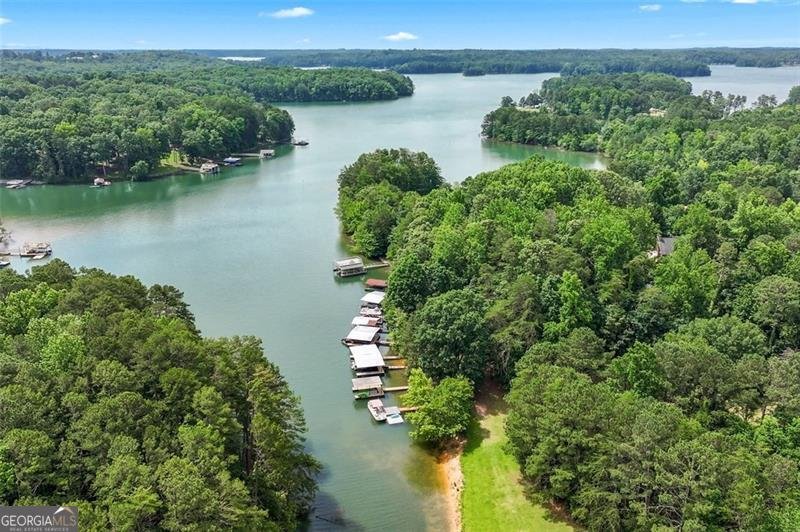 3620 BEAVER COVE Road Cumming - 52