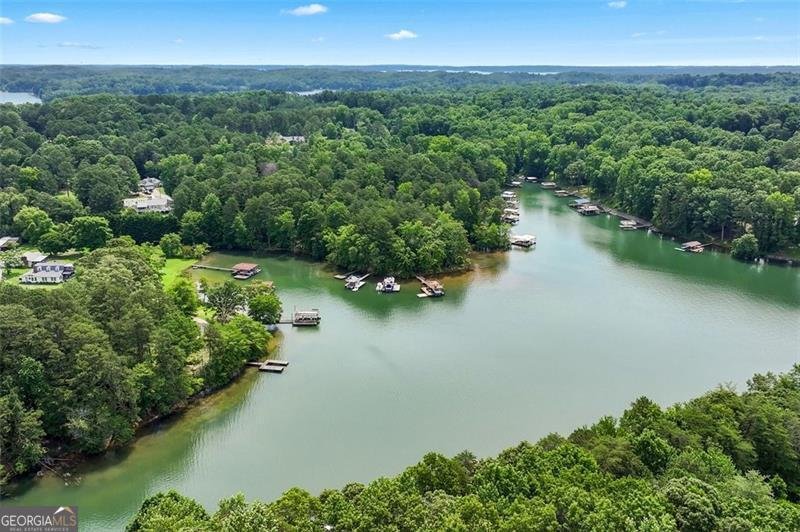 3620 BEAVER COVE Road Cumming - 53