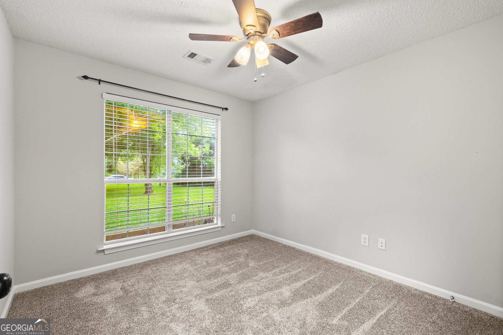 615 Coan Drive Locust Grove - 24