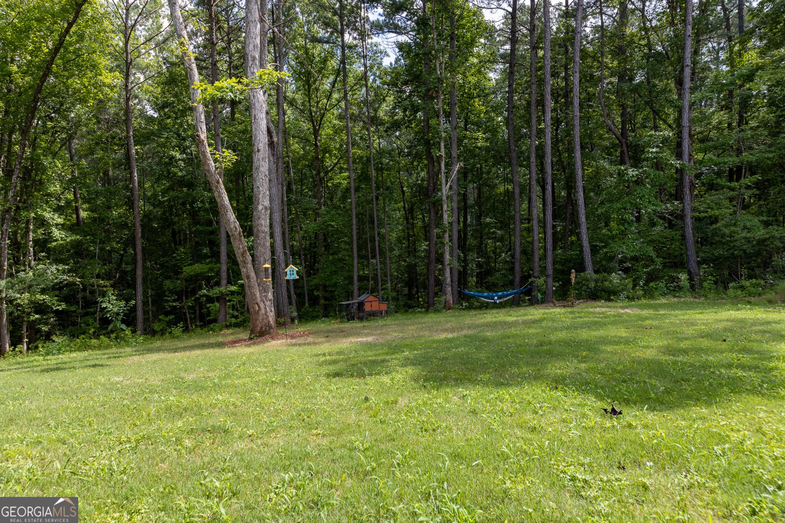181 Chattahoochee Drive Hogansville - 20