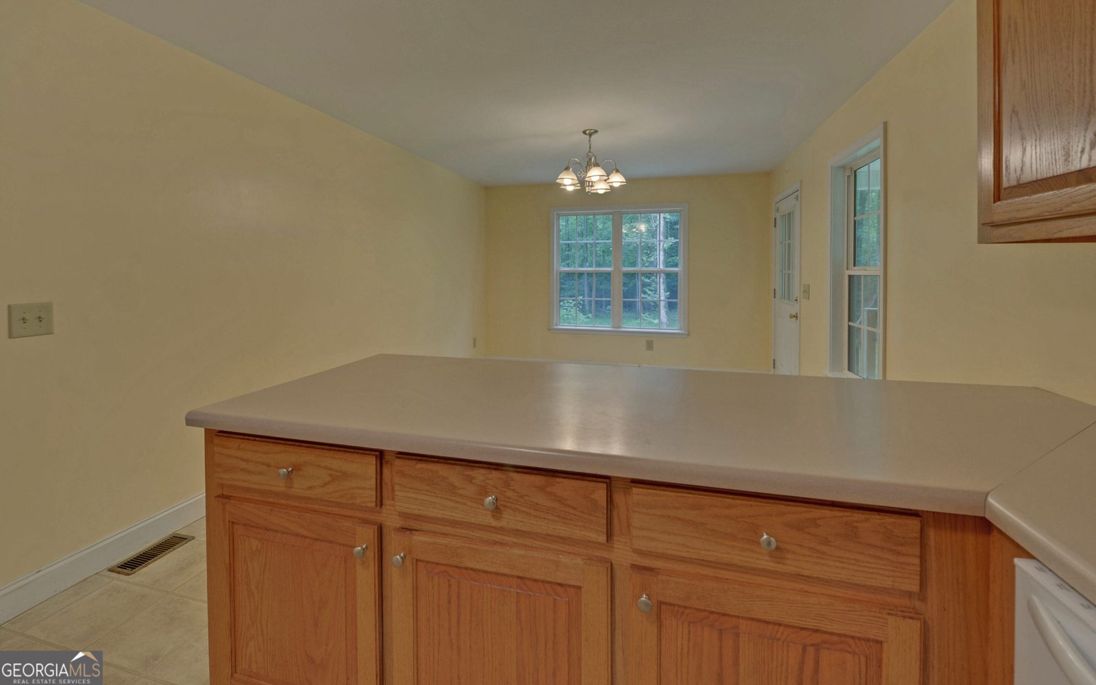 235 Irvin Lake Road Mount Airy - 11
