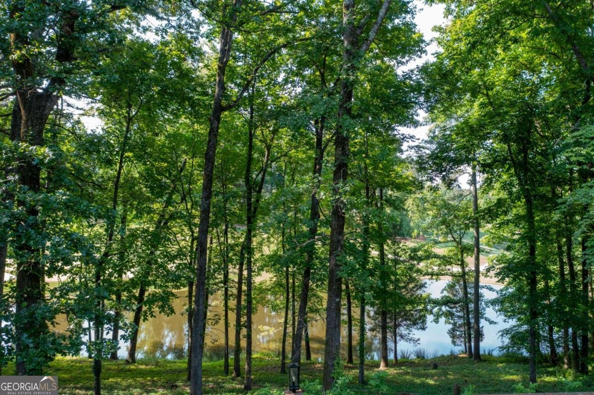 4010 PAPER MILL Road Marietta - 10
