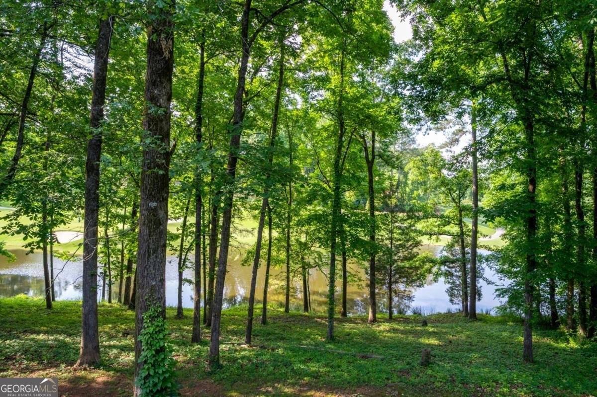 4010 PAPER MILL Road Marietta - 8