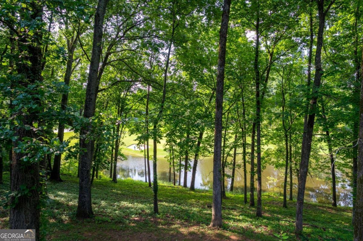 4010 PAPER MILL Road Marietta - 9