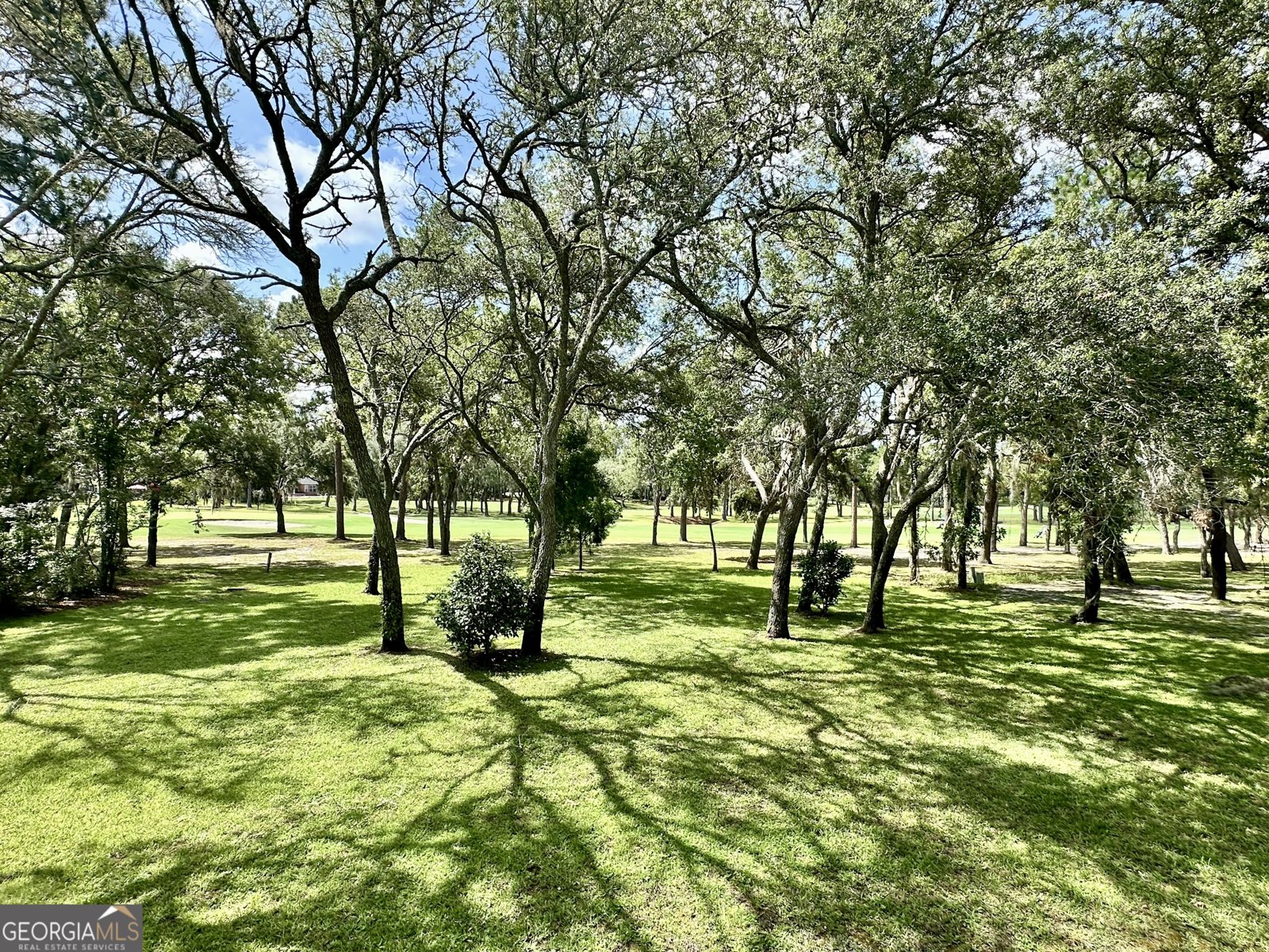 1457 River Oaks Drive Blackshear - 14