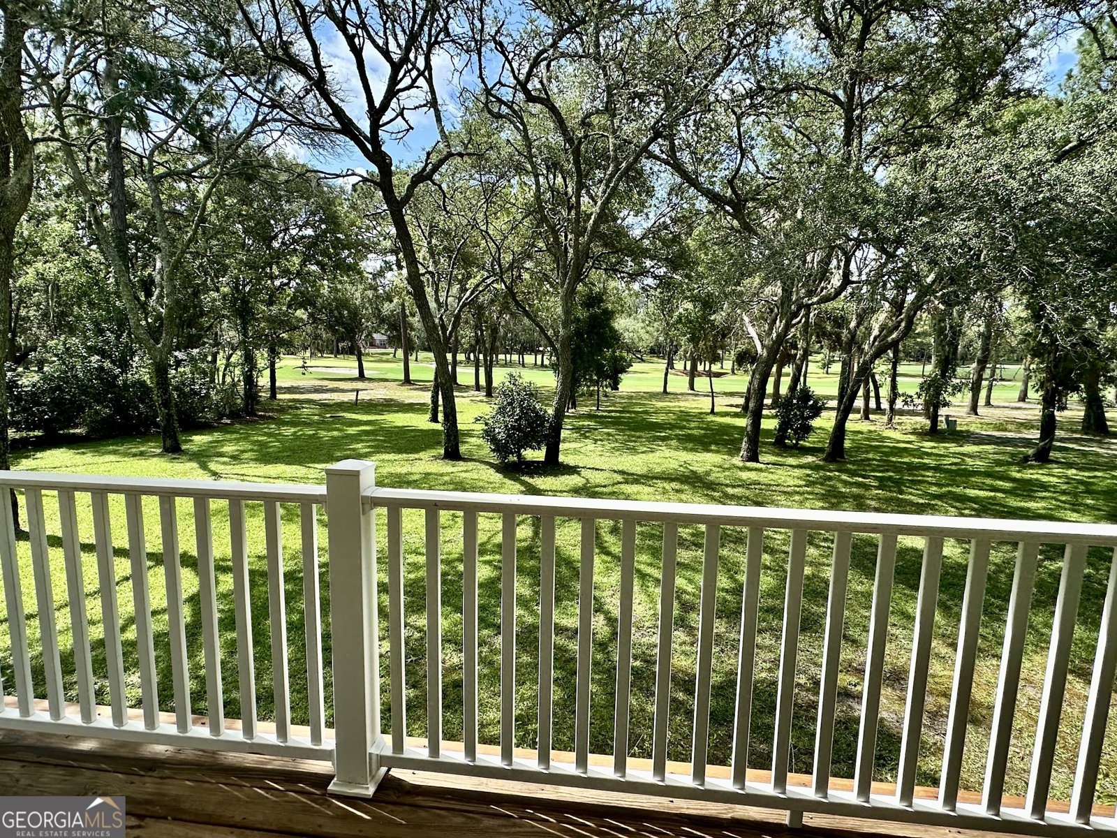 1457 River Oaks Drive Blackshear - 72