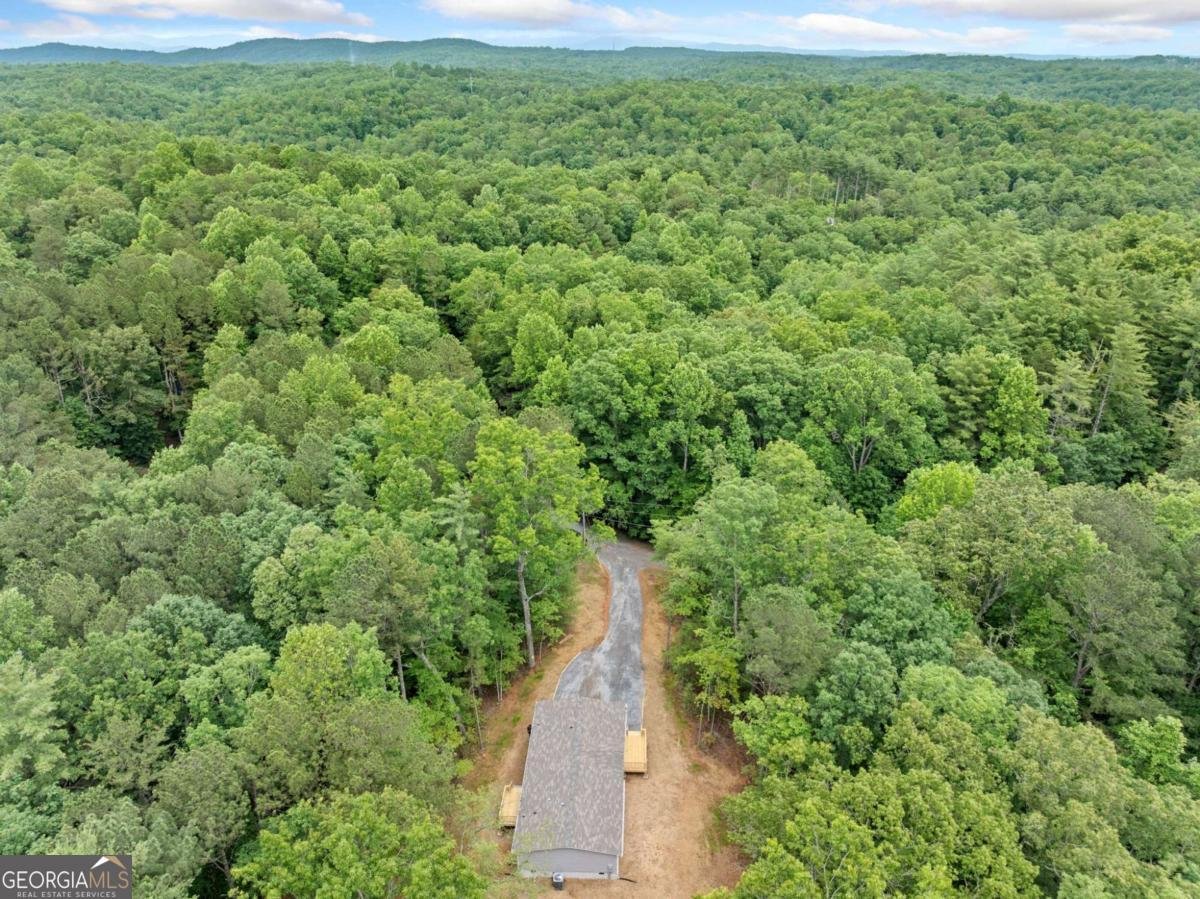 140 Jetty Drive Ellijay - 27