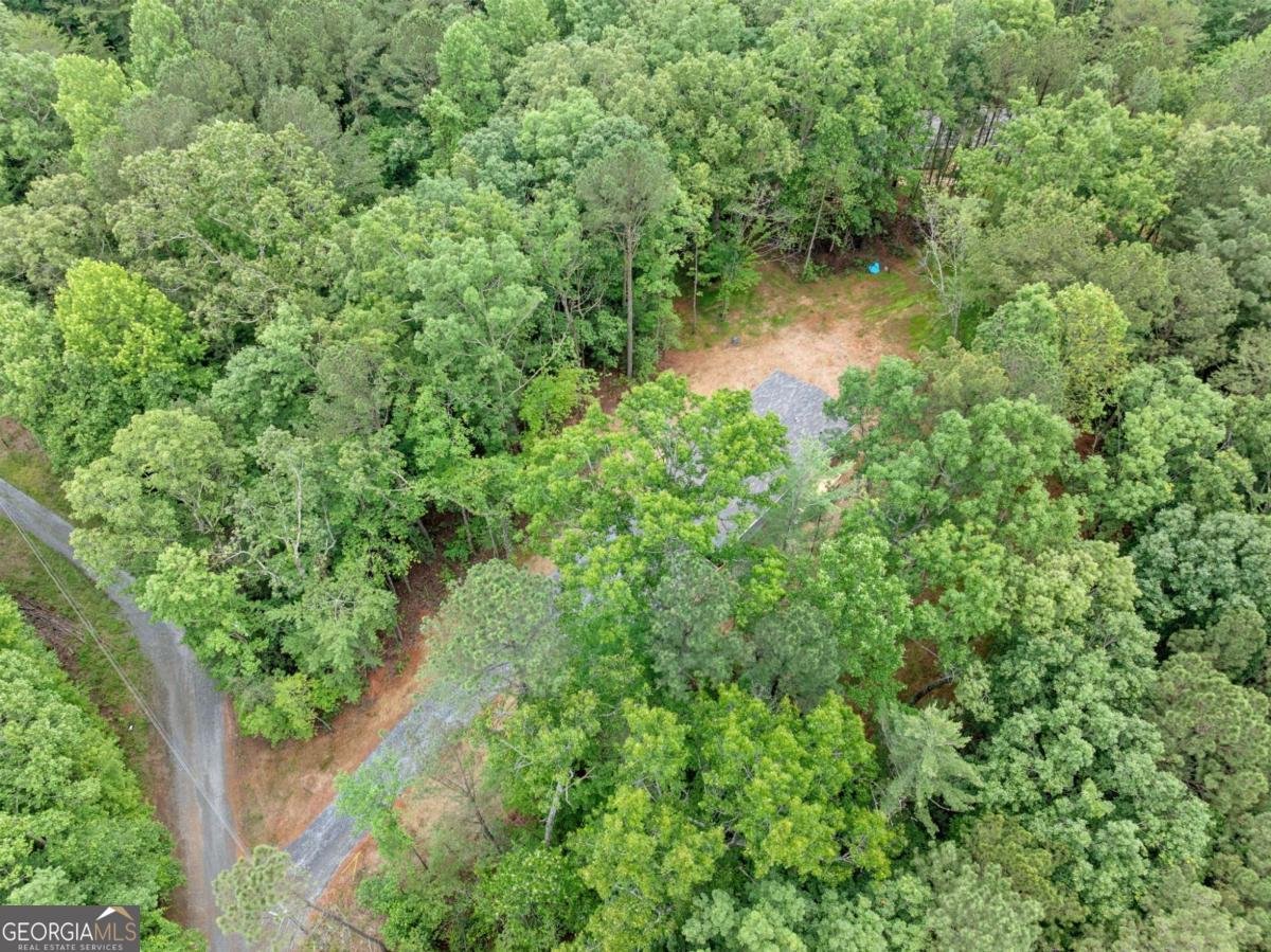 140 Jetty Drive Ellijay - 31
