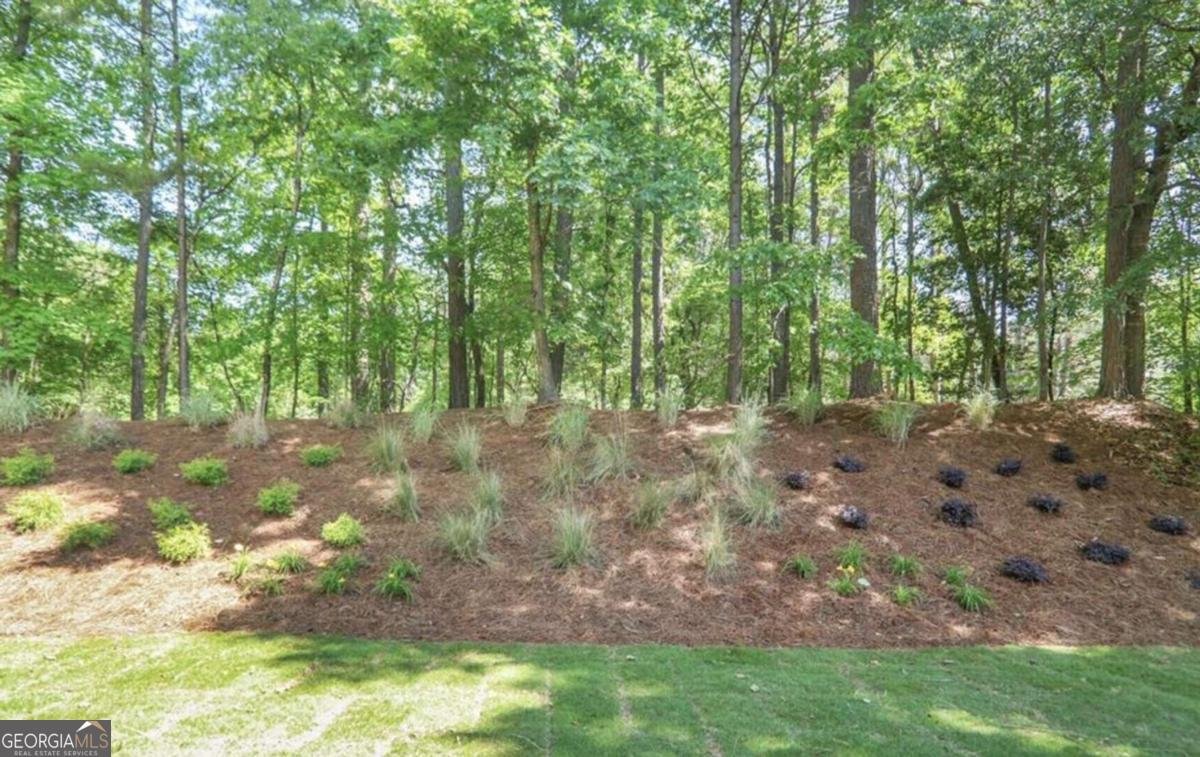 1155 Graystone Crossing Alpharetta - 25
