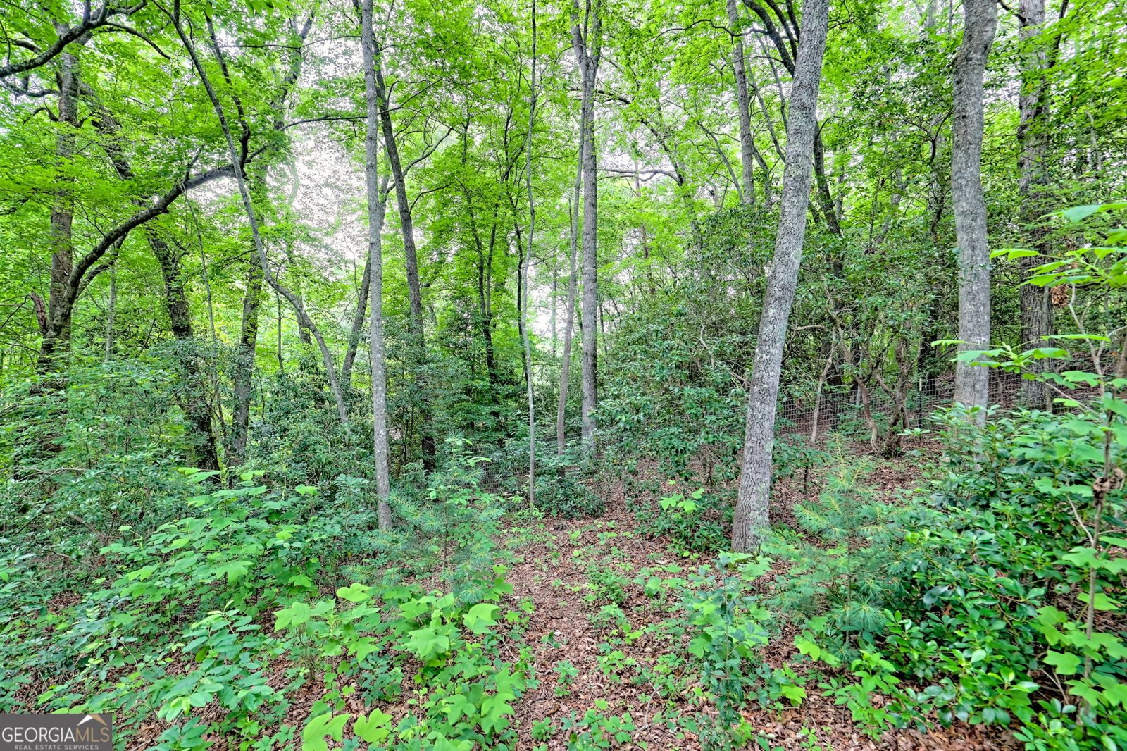 10848 Georgia Rd Otto - 38