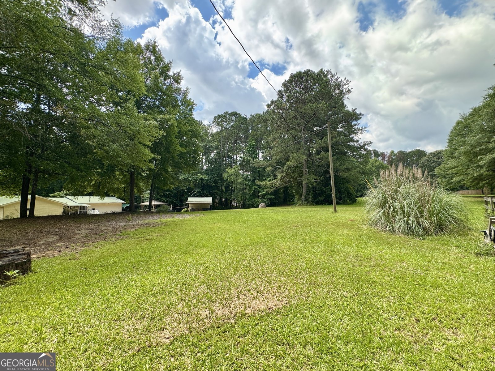 90 Howard Road Senoia - 11