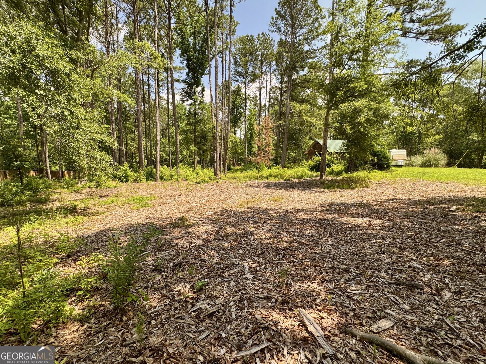 90 Howard Road Senoia - 17