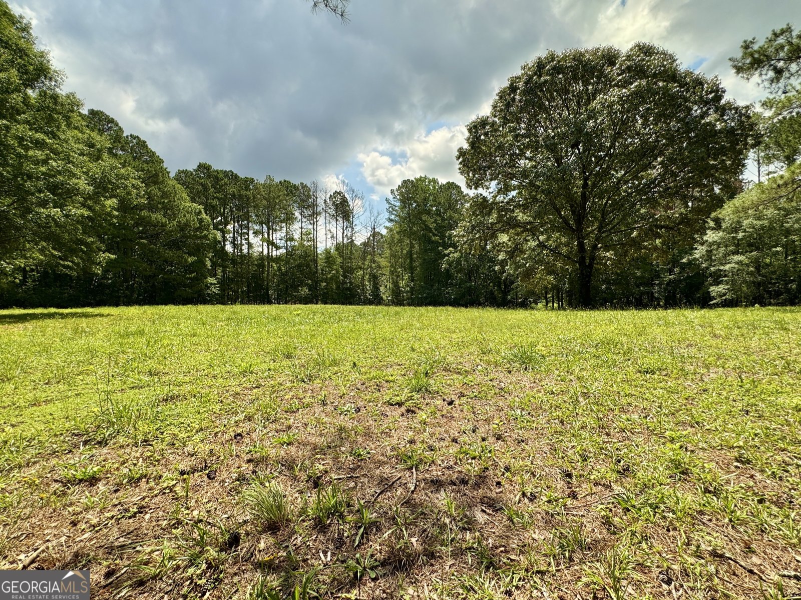 90 Howard Road Senoia - 20