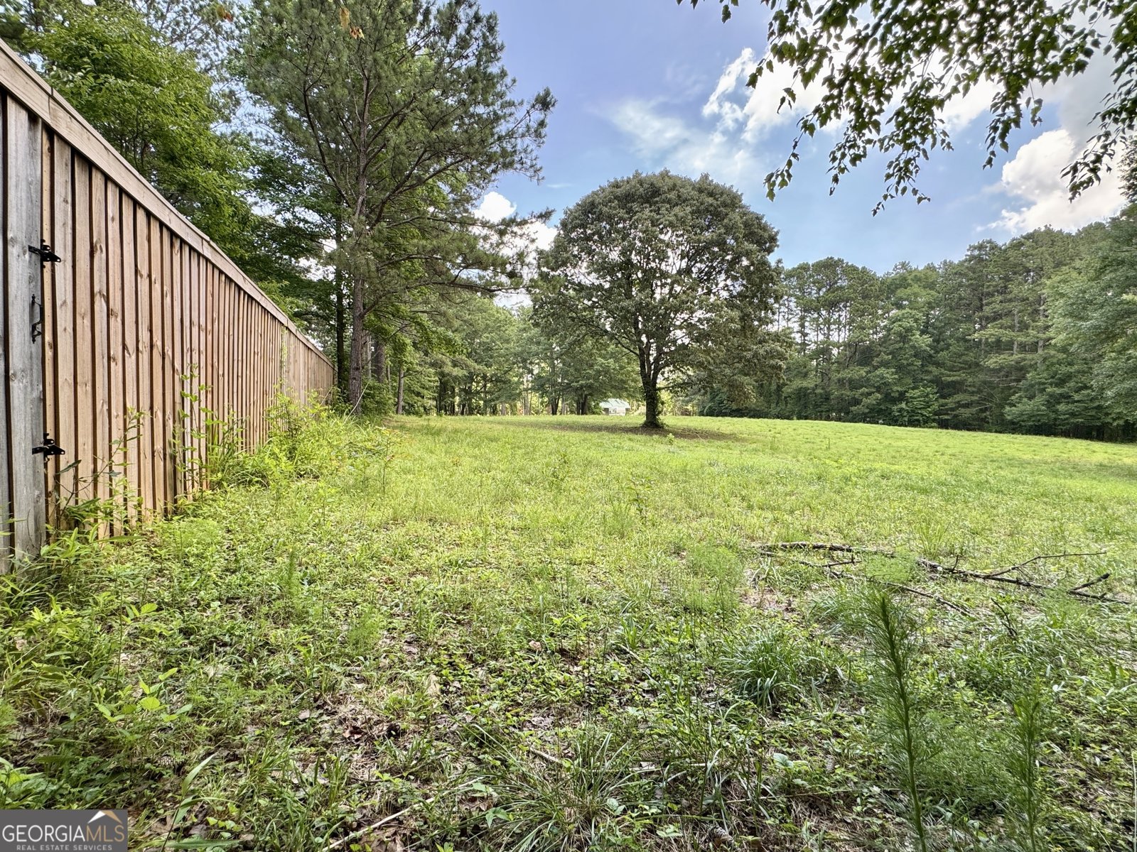 90 Howard Road Senoia - 21