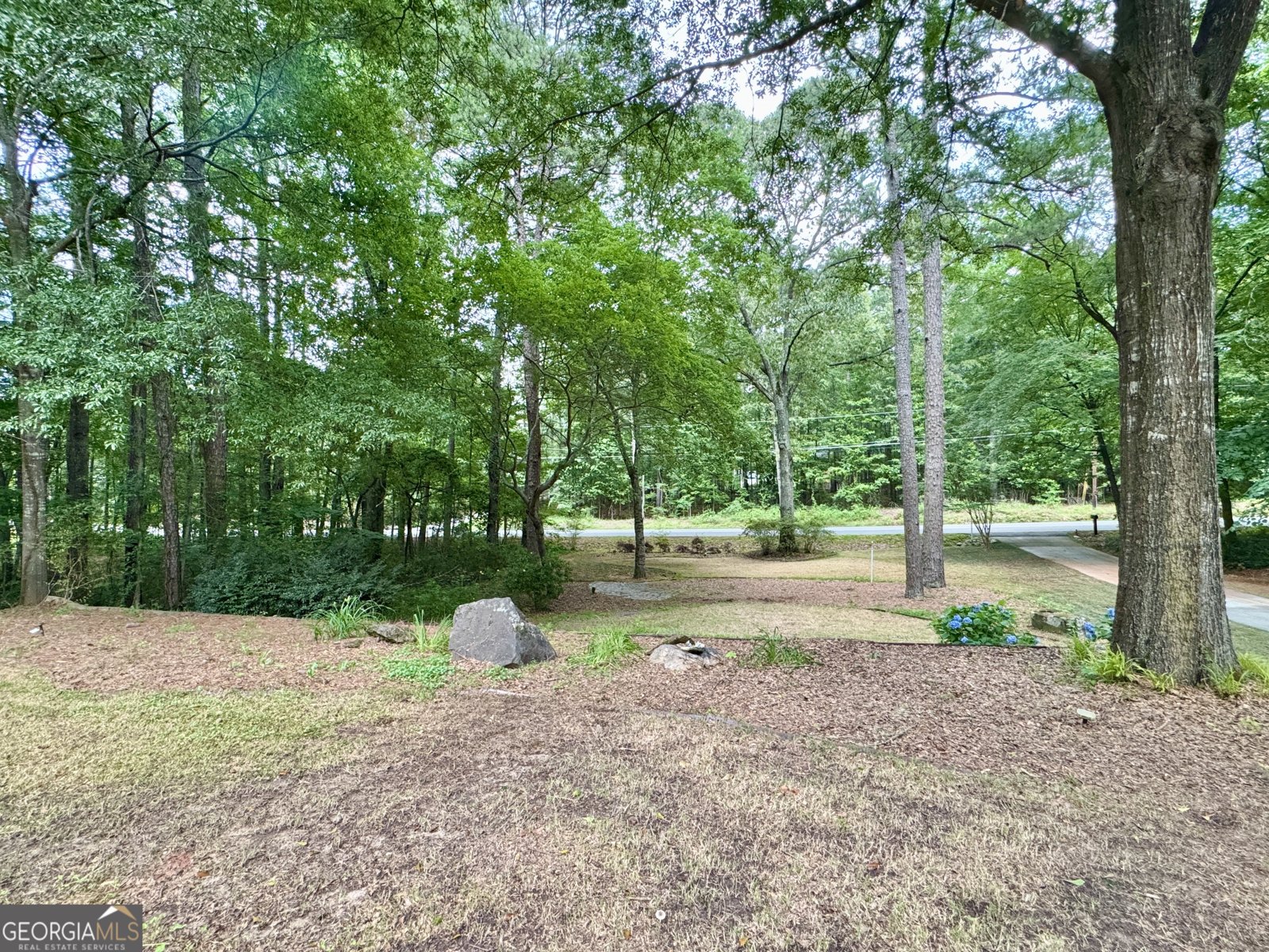 90 Howard Road Senoia - 29